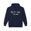funny cat lover hoodie